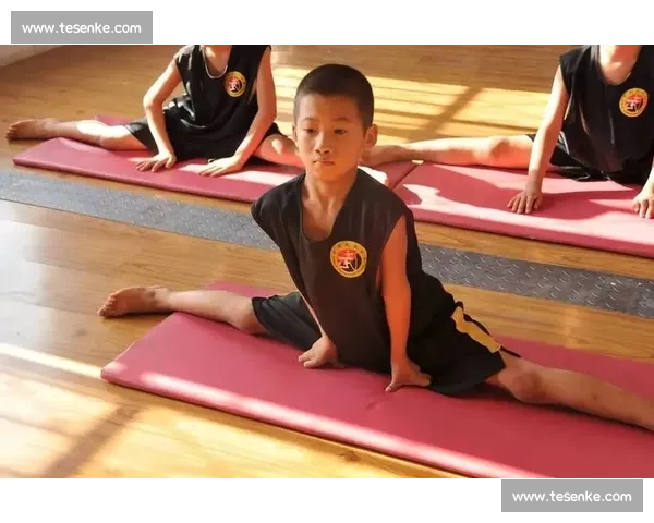 以太极vs散打为核心的传统武学与现代实战碰撞之争理念与规则深度对比解析