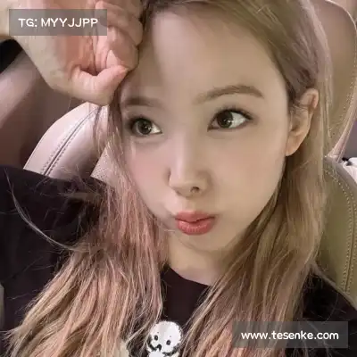 蓬盈晓